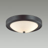 Настенно-потолочный светильник LUMION VINTAGE NINA 5260/2C